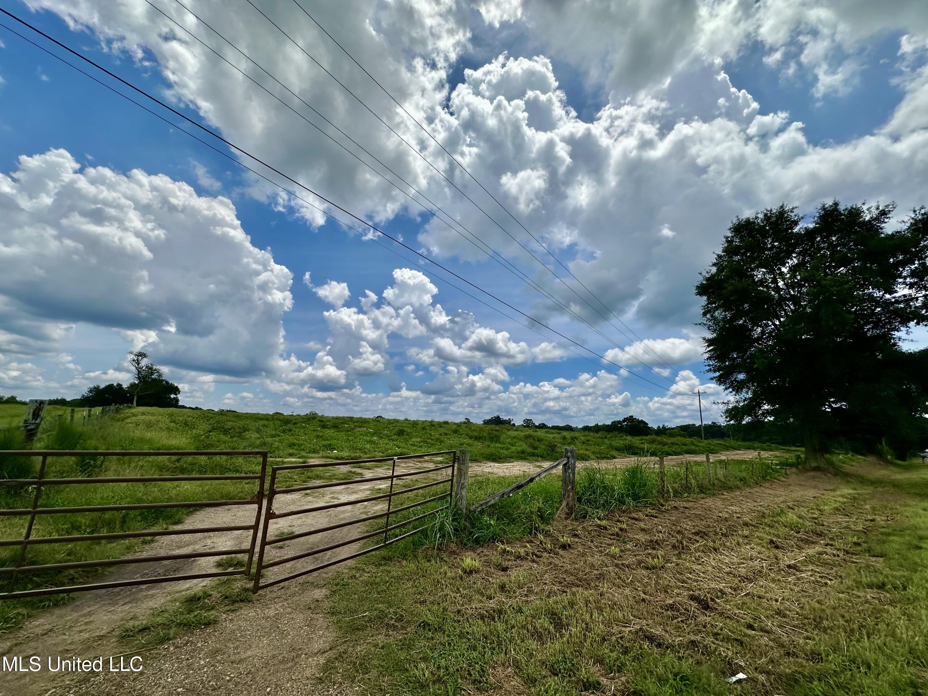 Hwy 532, Mount Olive, Mississippi image 30