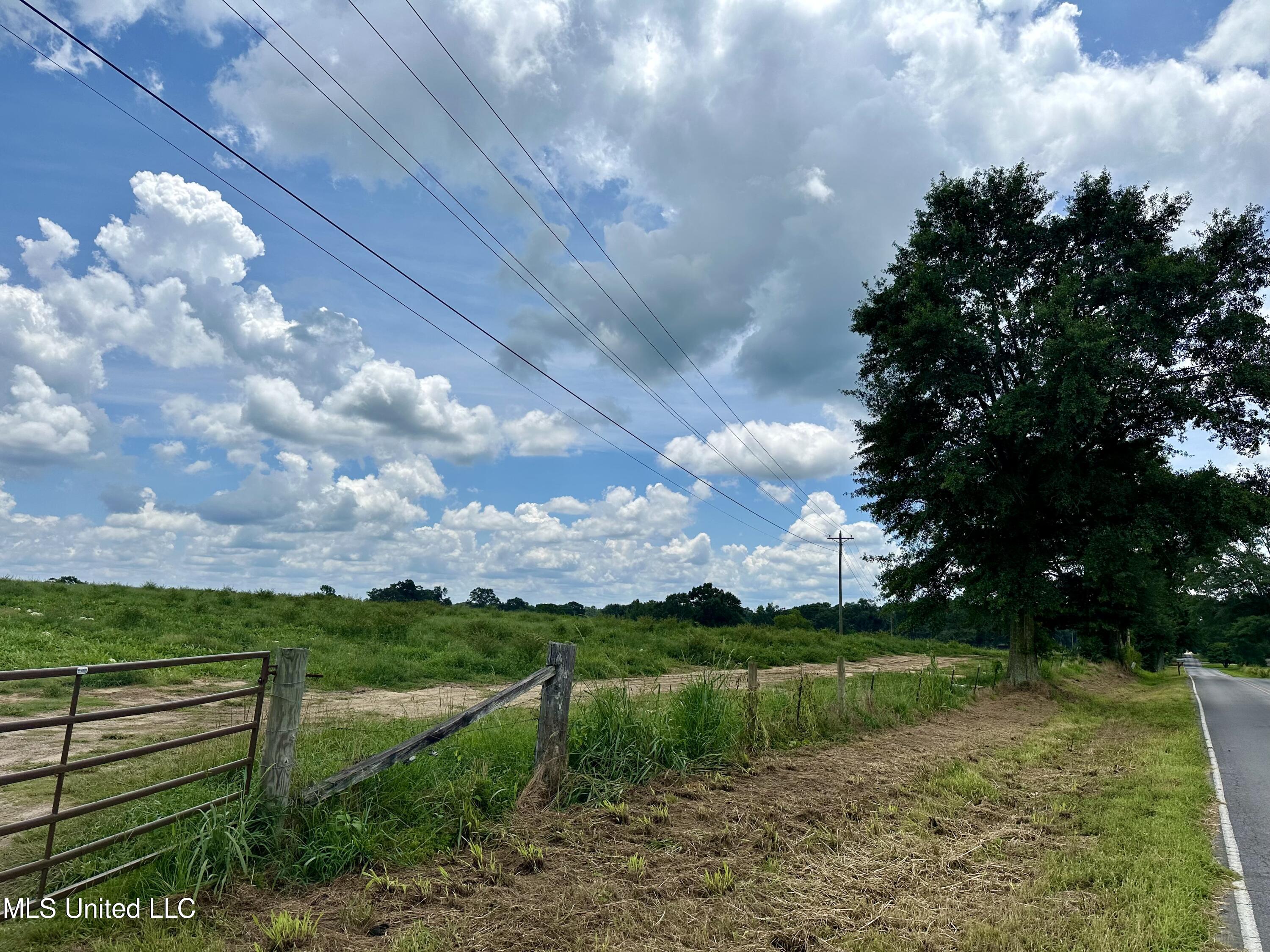 Hwy 532, Mount Olive, Mississippi image 31