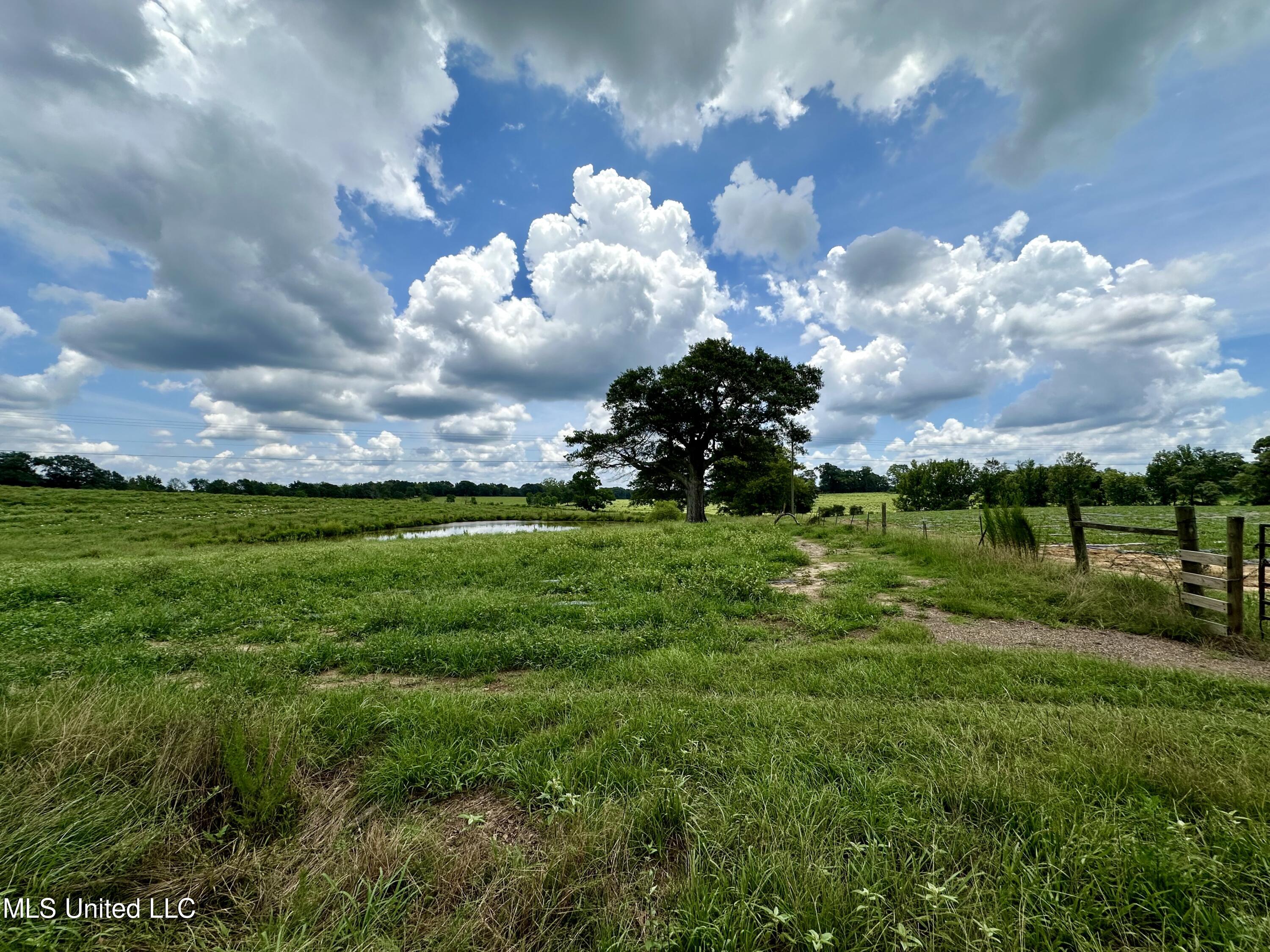 Hwy 532, Mount Olive, Mississippi image 34