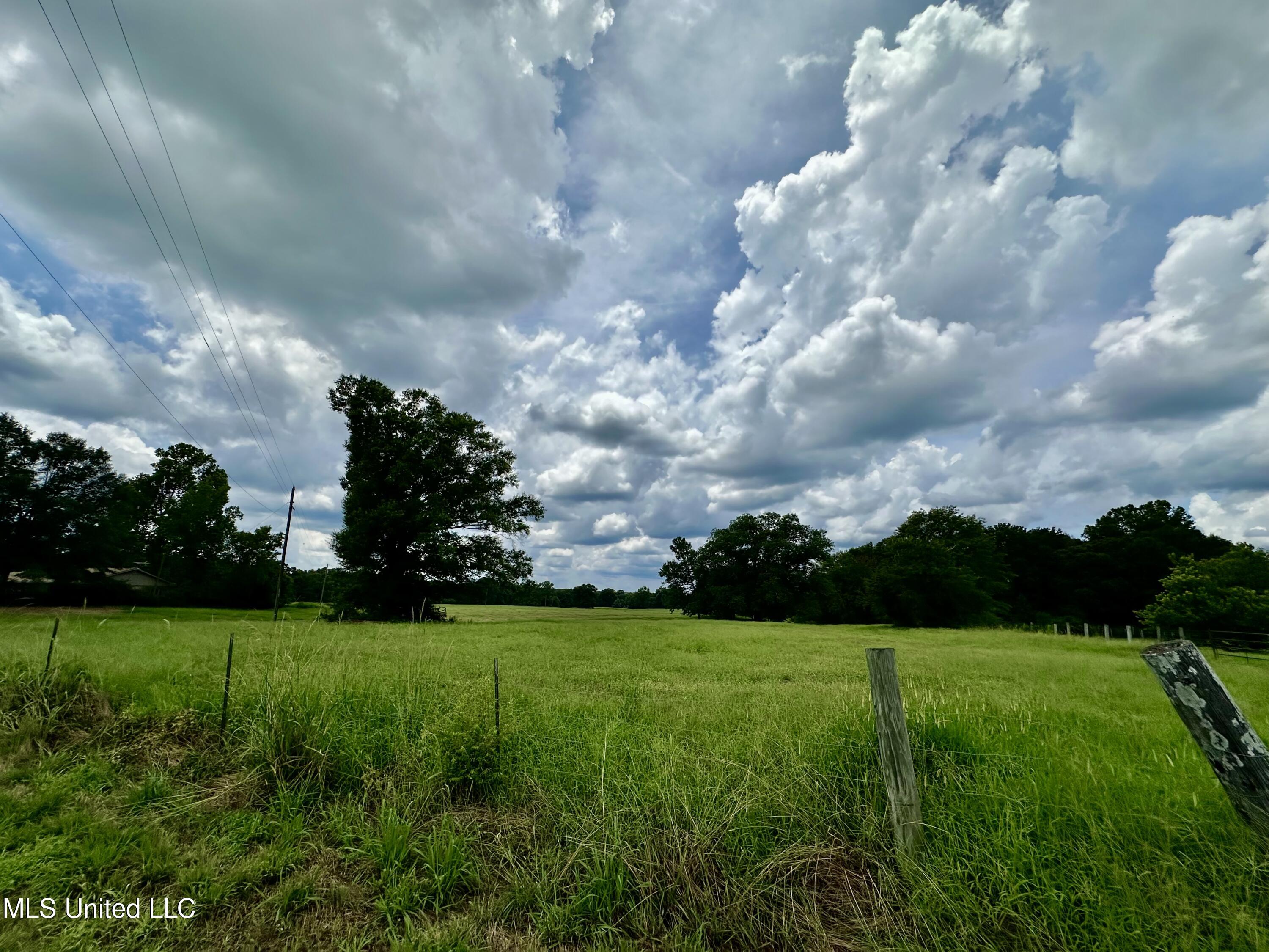 Hwy 532, Mount Olive, Mississippi image 29