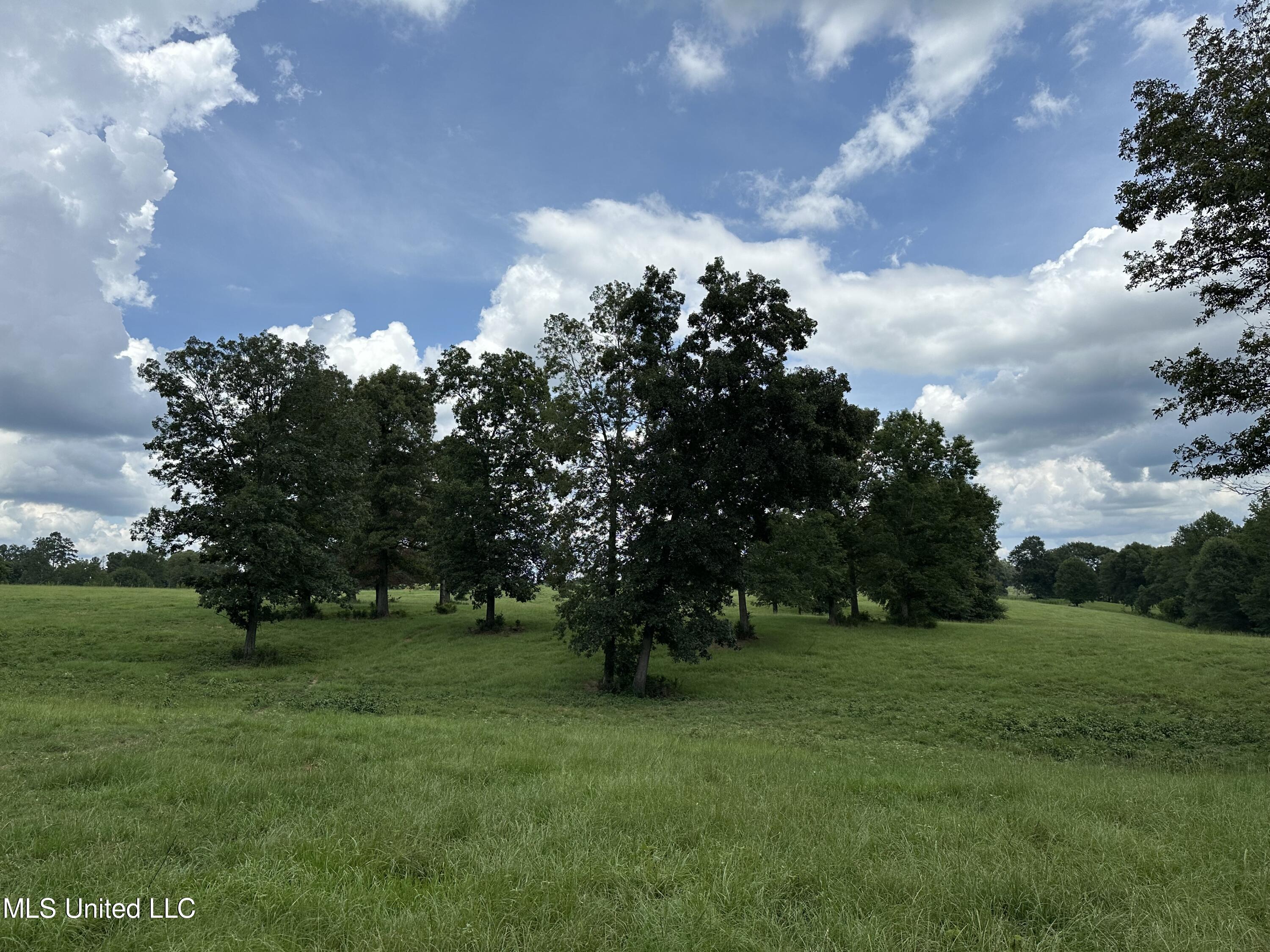 Hwy 532, Mount Olive, Mississippi image 5