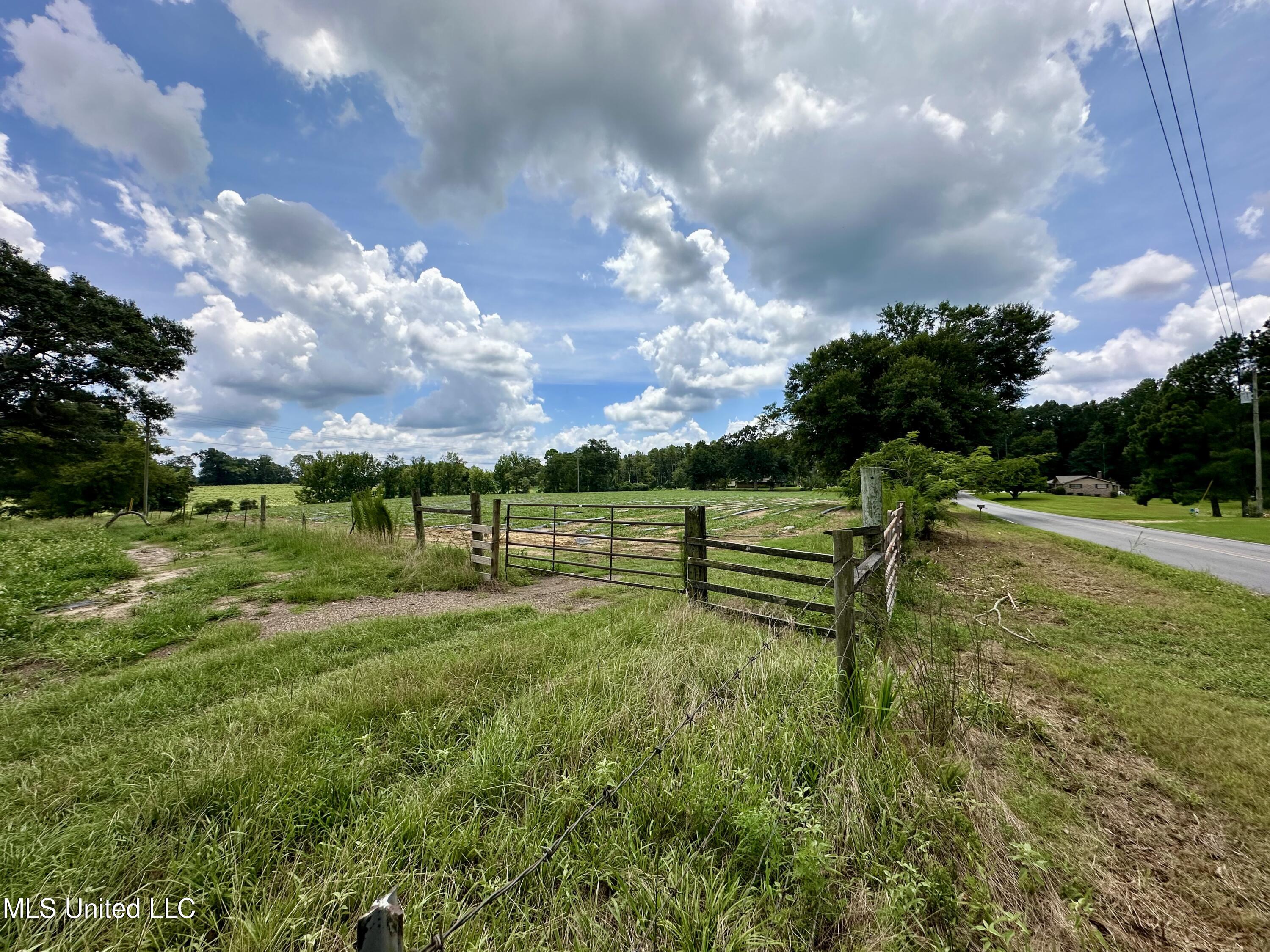 Hwy 532, Mount Olive, Mississippi image 33