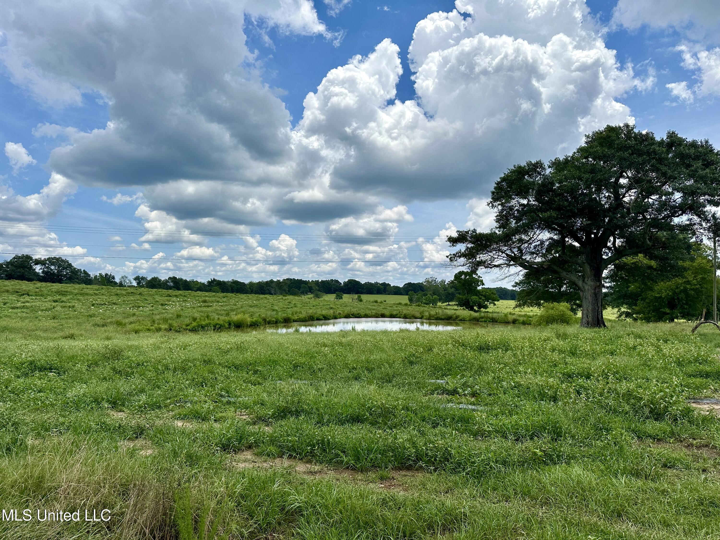 Hwy 532, Mount Olive, Mississippi image 35