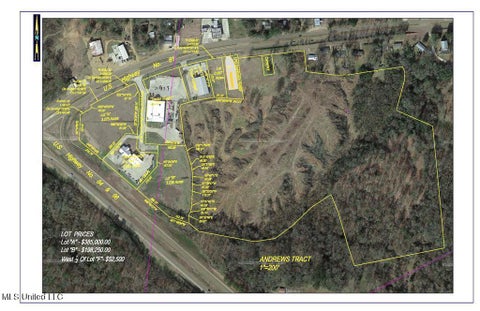 Vacant Land For Sale - Hwy 61 And Hwy 84<br/> Natchez, MS 39120