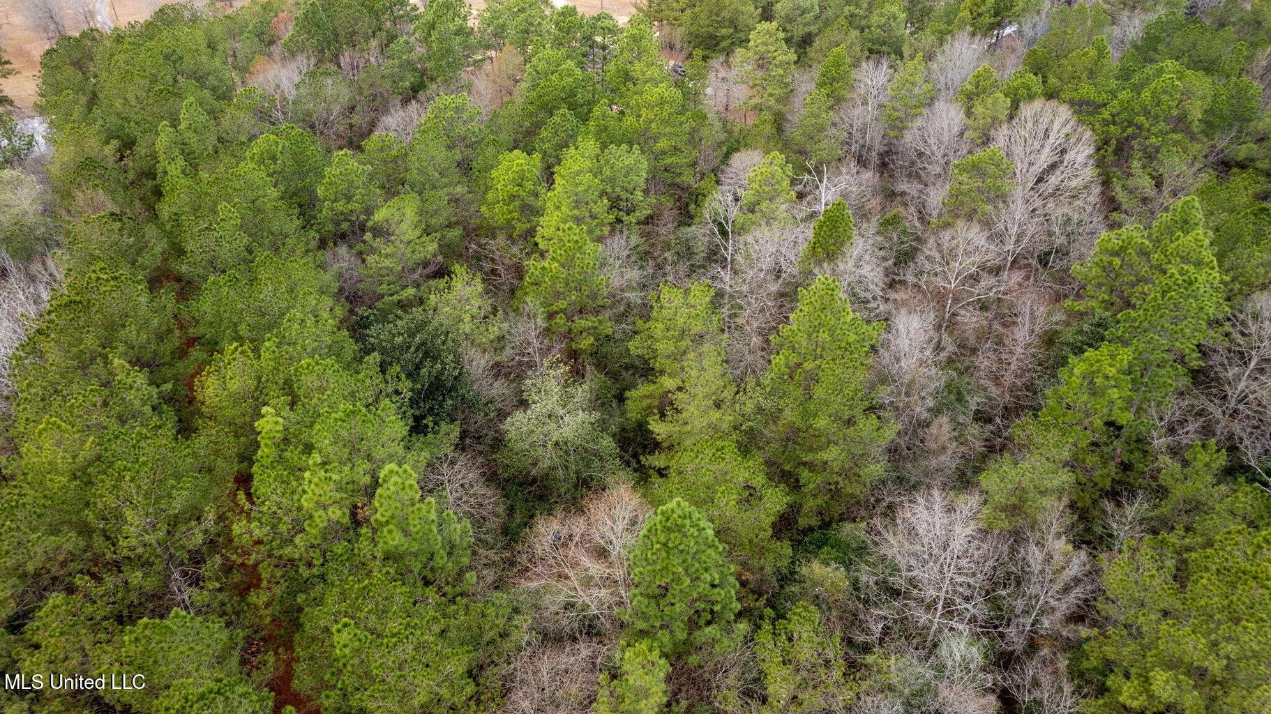 10.34 Acres Whippoorwill Lane, Hattiesburg, Mississippi image 13