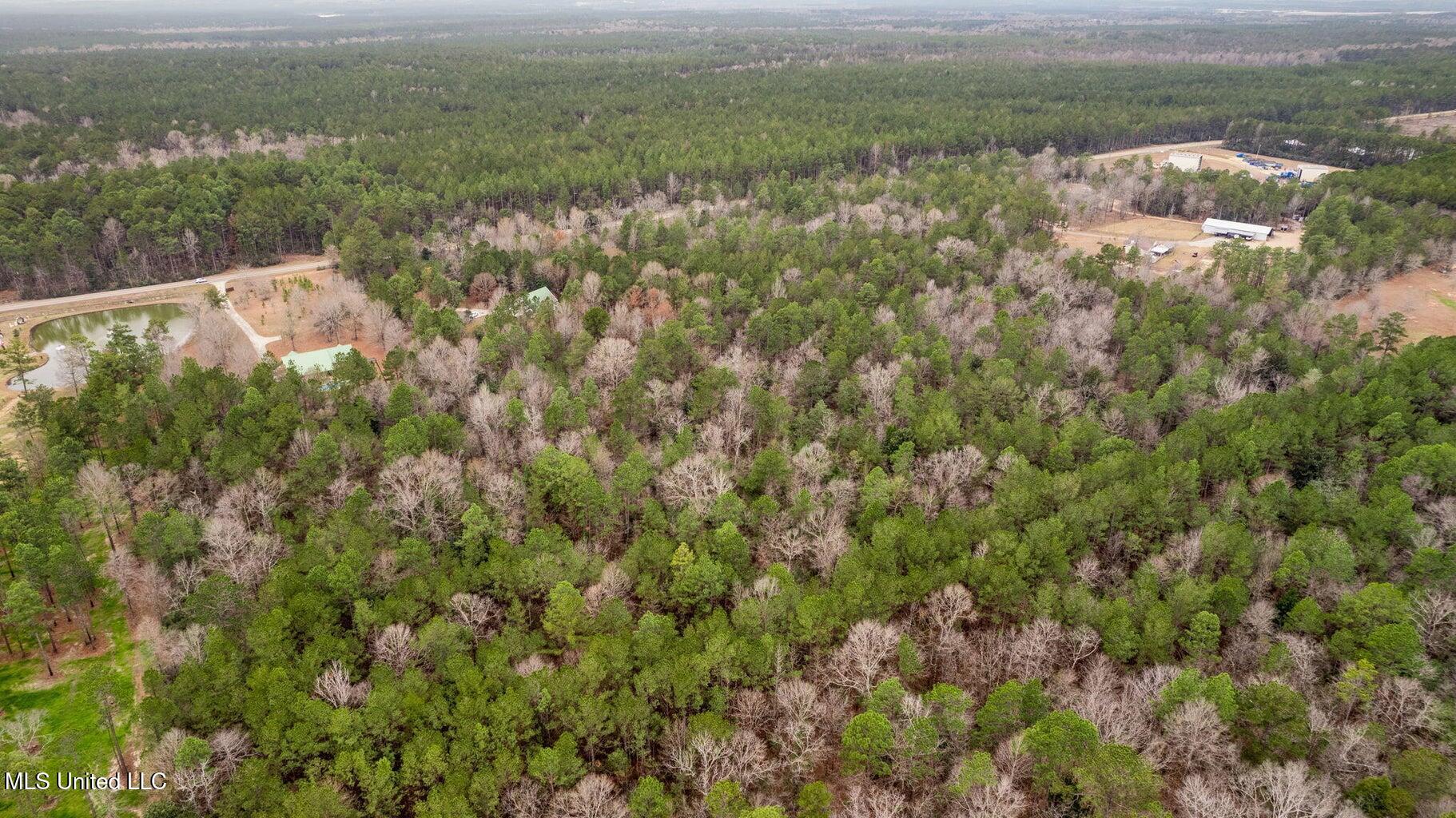 10.34 Acres Whippoorwill Lane, Hattiesburg, Mississippi image 6