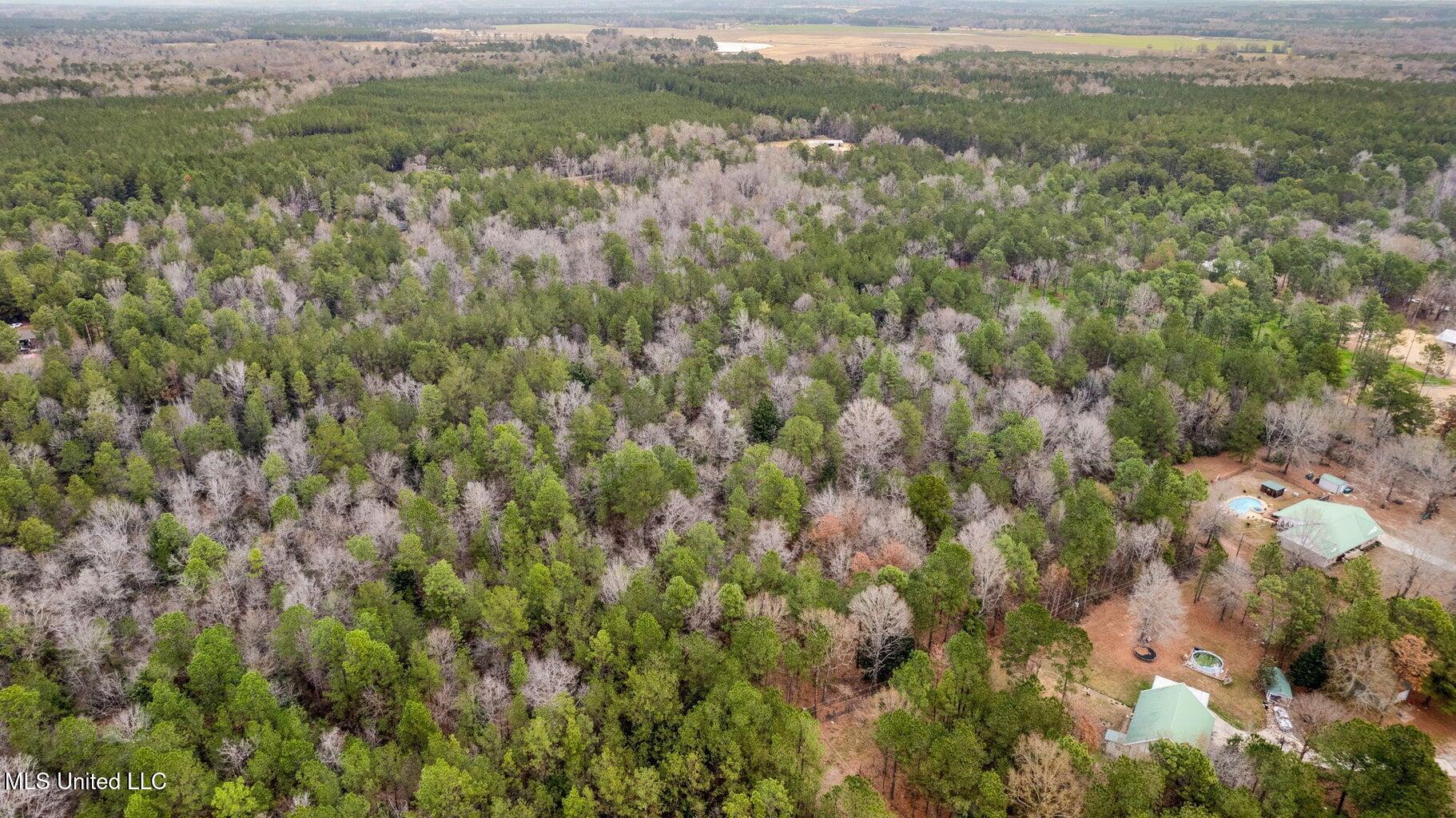 10.34 Acres Whippoorwill Lane, Hattiesburg, Mississippi image 7