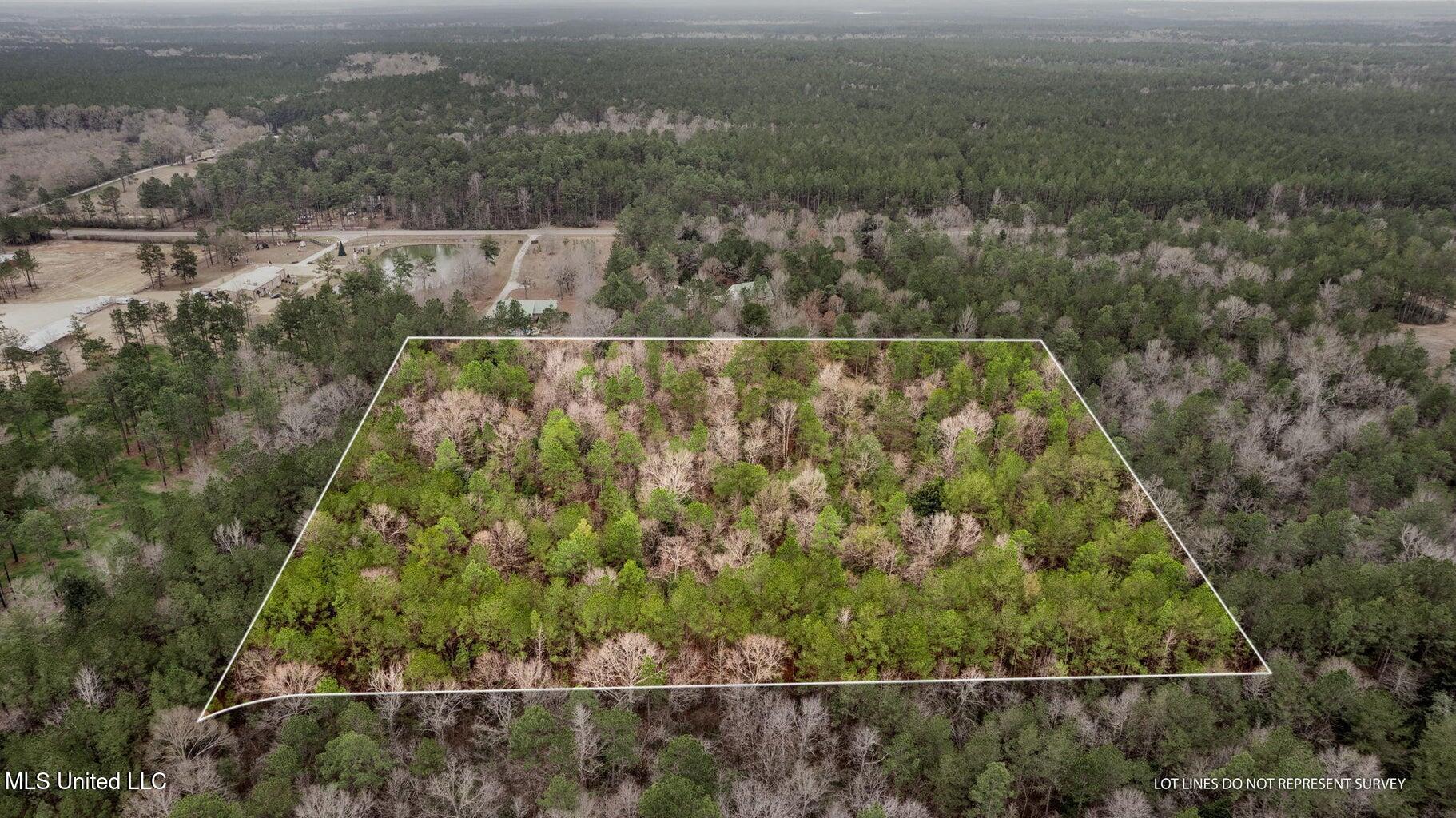 10.34 Acres Whippoorwill Lane, Hattiesburg, Mississippi image 3