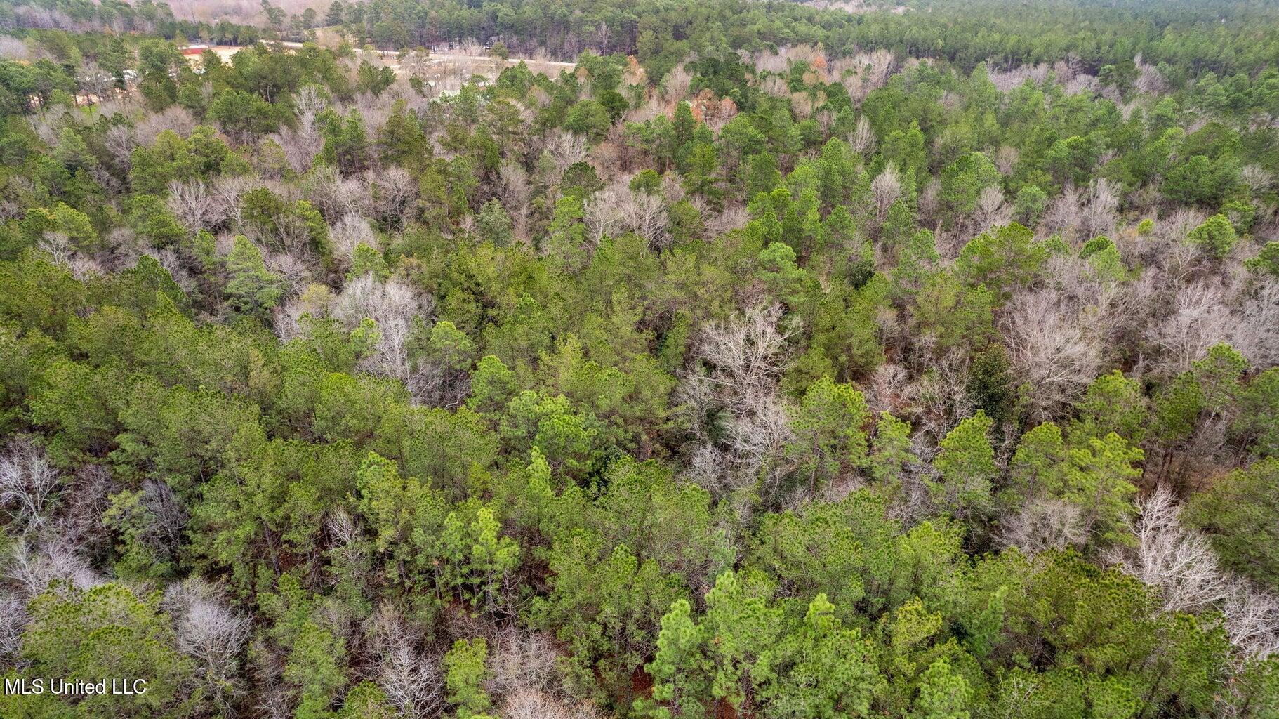 10.34 Acres Whippoorwill Lane, Hattiesburg, Mississippi image 14