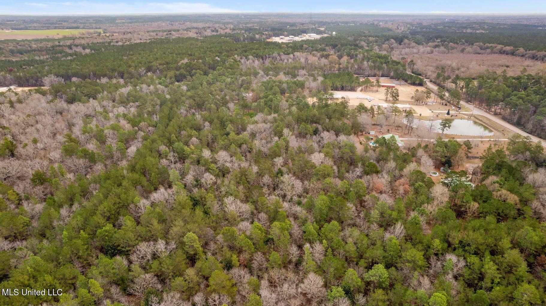 10.34 Acres Whippoorwill Lane, Hattiesburg, Mississippi image 10