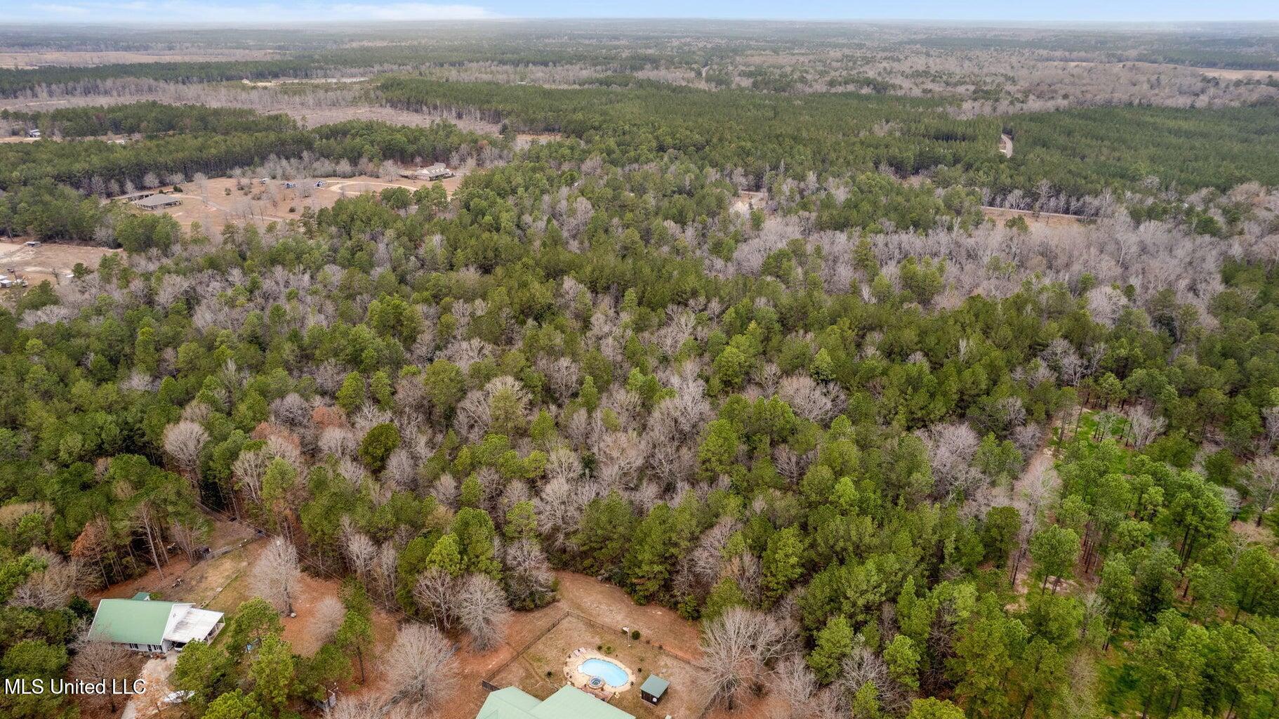 10.34 Acres Whippoorwill Lane, Hattiesburg, Mississippi image 9