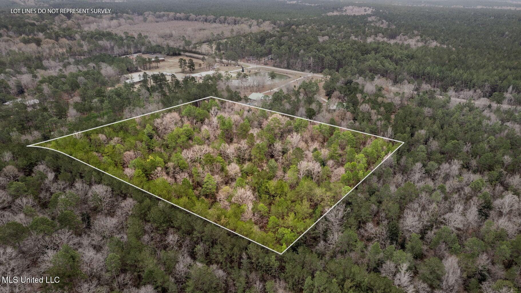 10.34 Acres Whippoorwill Lane, Hattiesburg, Mississippi image 2