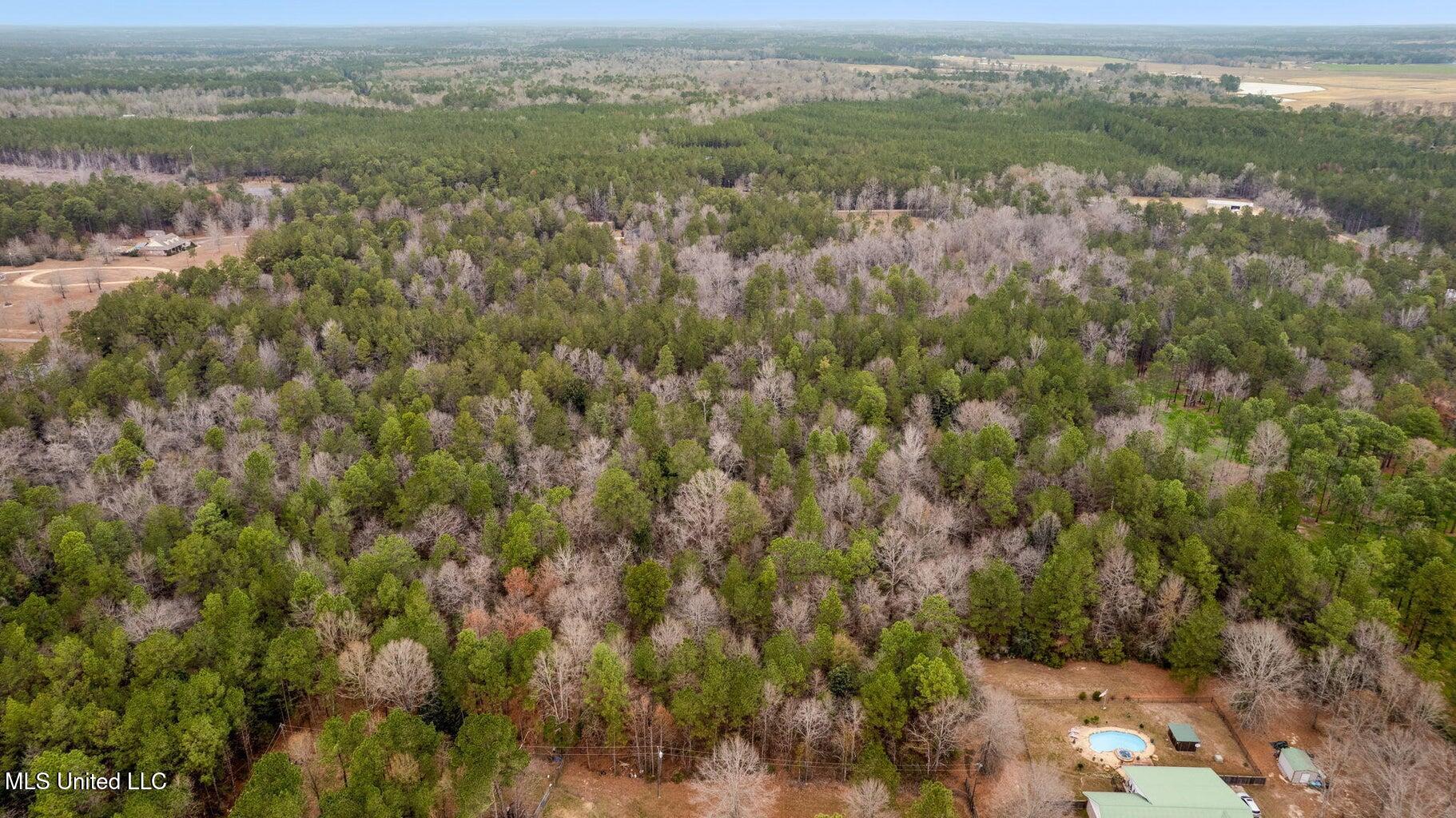 10.34 Acres Whippoorwill Lane, Hattiesburg, Mississippi image 8