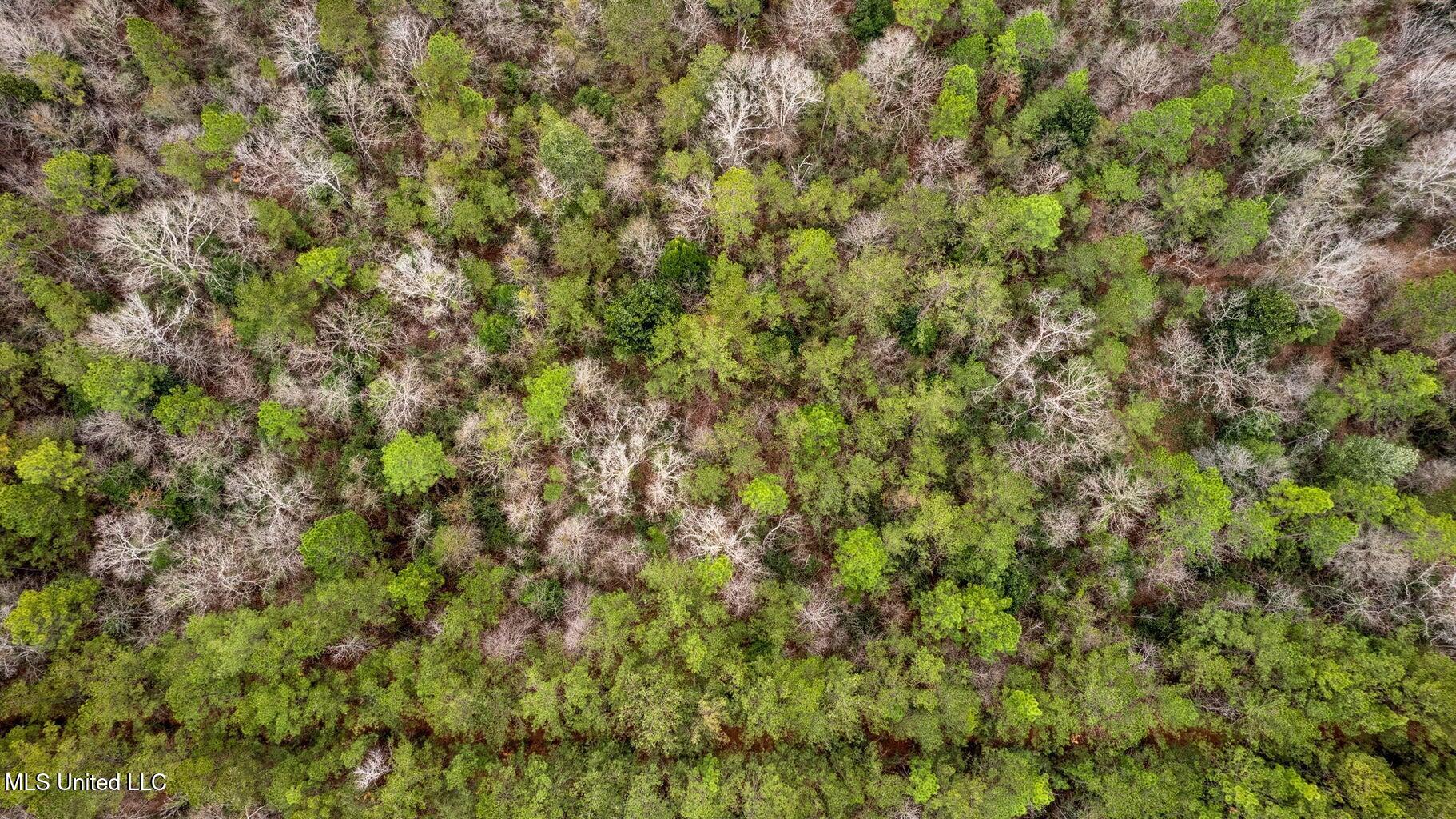 10.34 Acres Whippoorwill Lane, Hattiesburg, Mississippi image 11