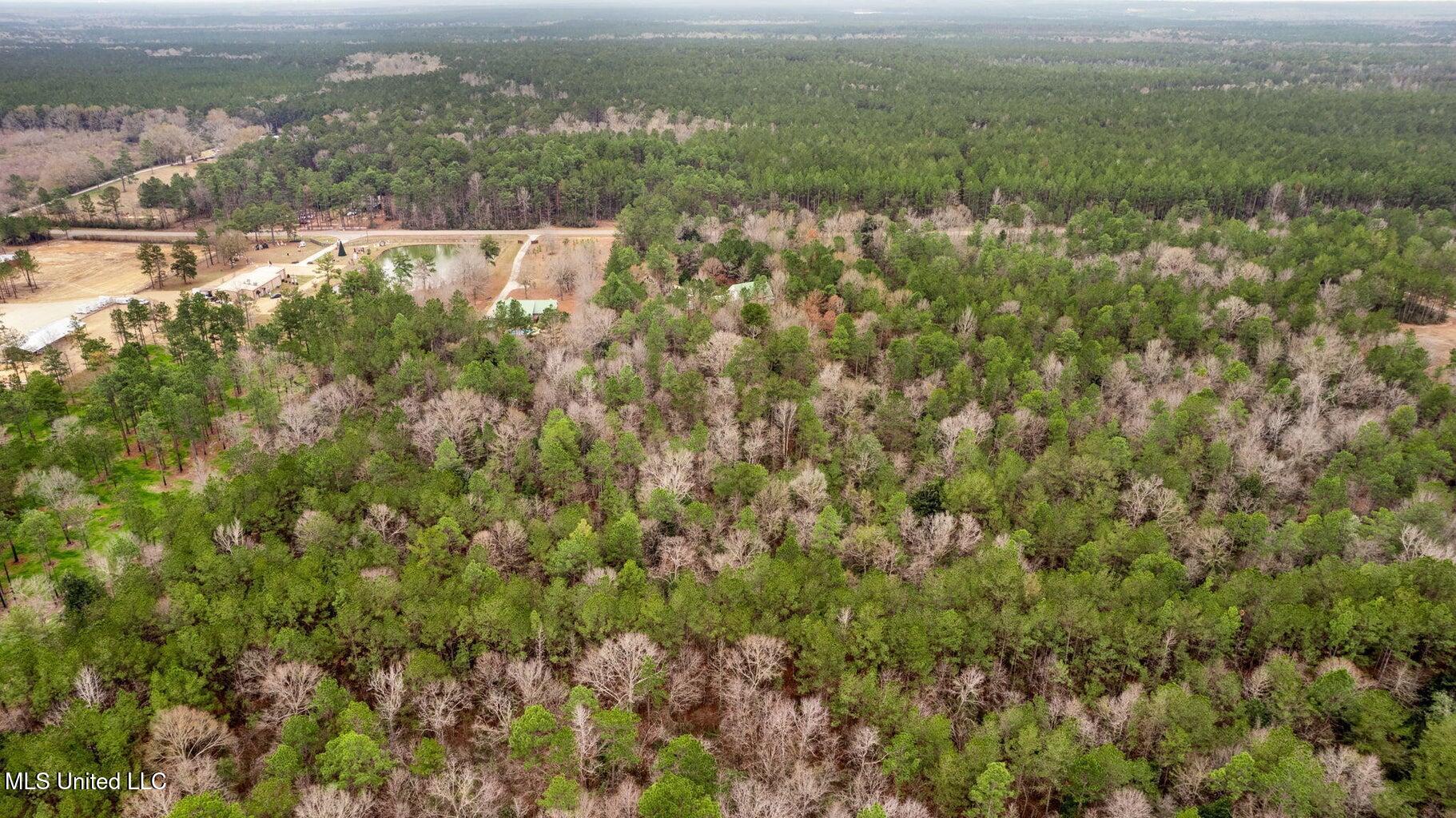 10.34 Acres Whippoorwill Lane, Hattiesburg, Mississippi image 5
