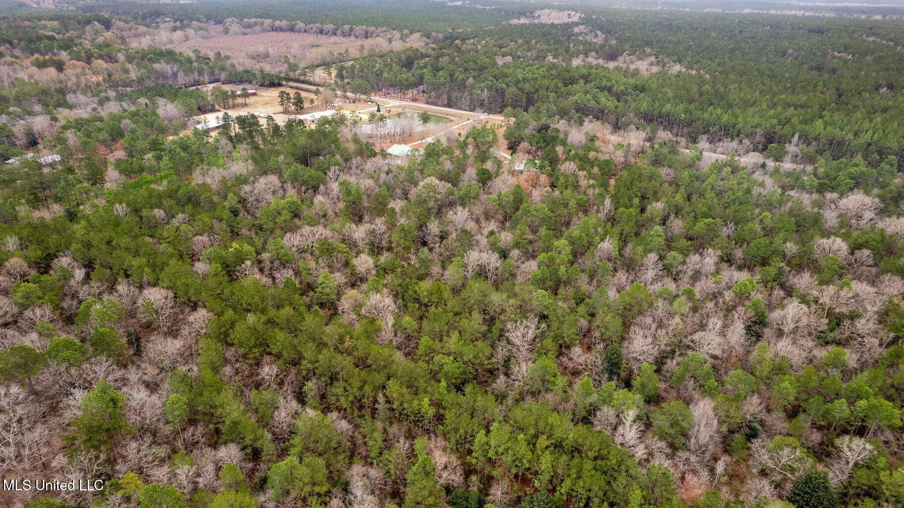 10.34 Acres Whippoorwill Lane, Hattiesburg, Mississippi image 4