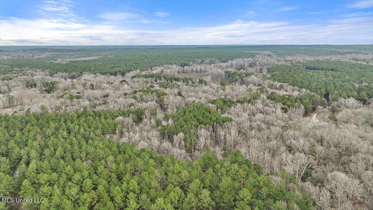 E Ms-18 Highway, Brandon, Mississippi image 7