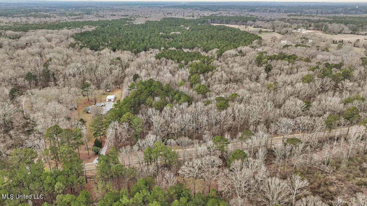 E Ms-18 Highway, Brandon, Mississippi image 2