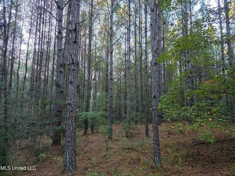 Vacant Land For Sale - County Rd 77<br/> Smith County, Mize, MS 39116