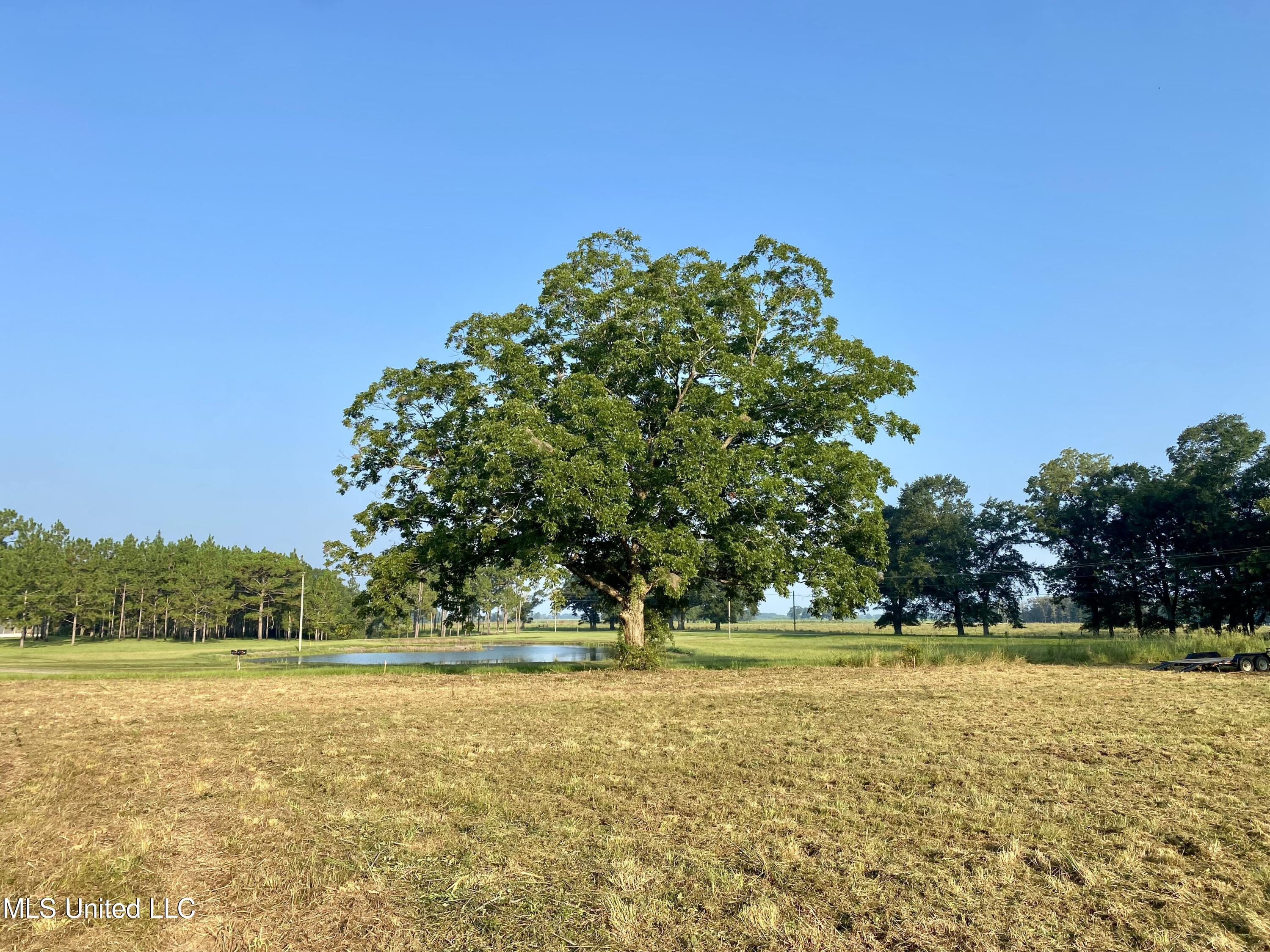 Nhn Paramount Church Road, Perkinston, Mississippi image 4