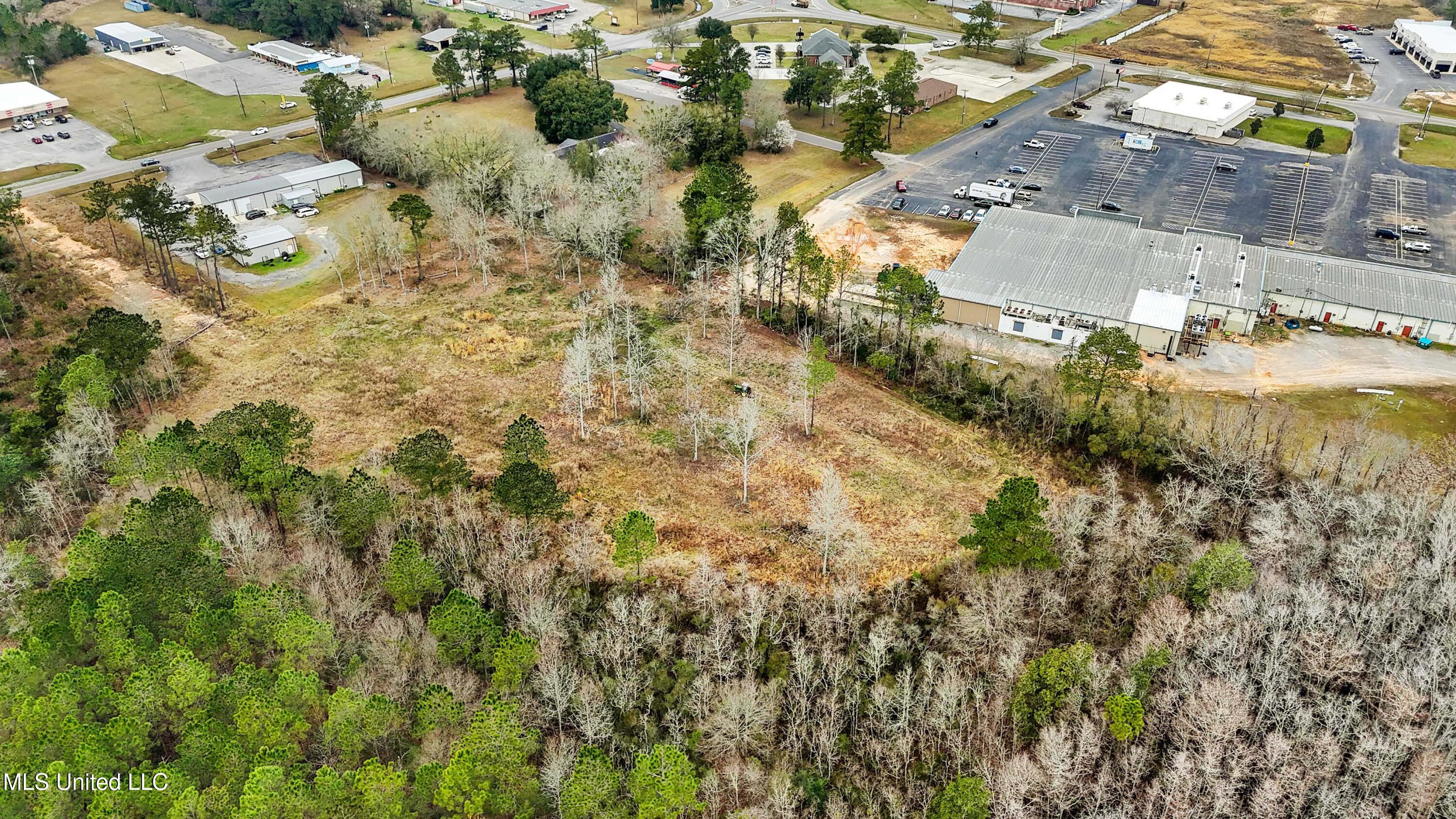 2 Acres Highway 613 Highway, Moss Point, Mississippi image 4