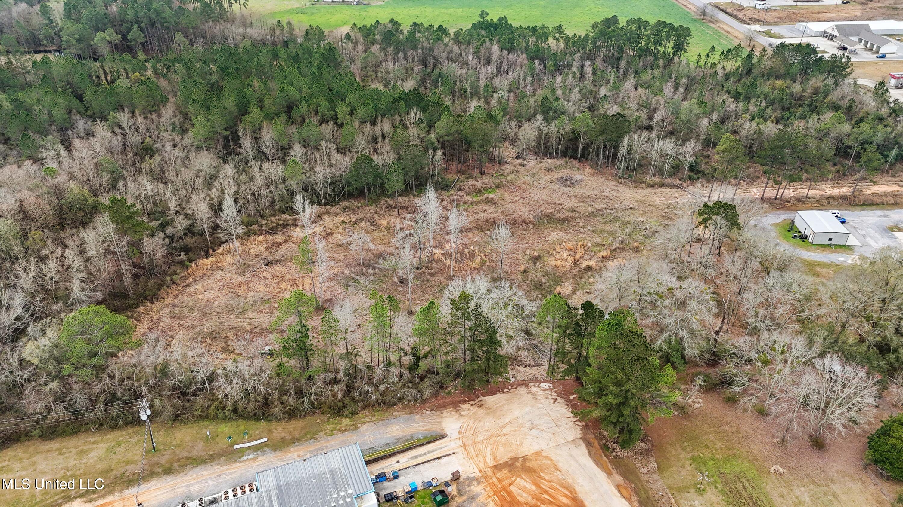 2 Acres Highway 613 Highway, Moss Point, Mississippi image 7