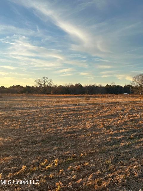 Vacant Land For Sale - 000 Ovelle Lee Road<br/> Pearl River County, Poplarville, MS 39470
