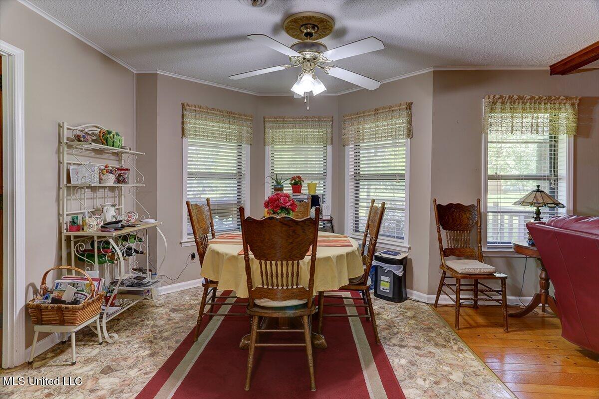 4615 Dogwood Meadows Cove, Horn Lake, Mississippi image 15