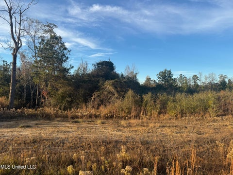 Vacant Land For Sale - 15 ACRES Parker Road<br/> McHenry, MS 39561