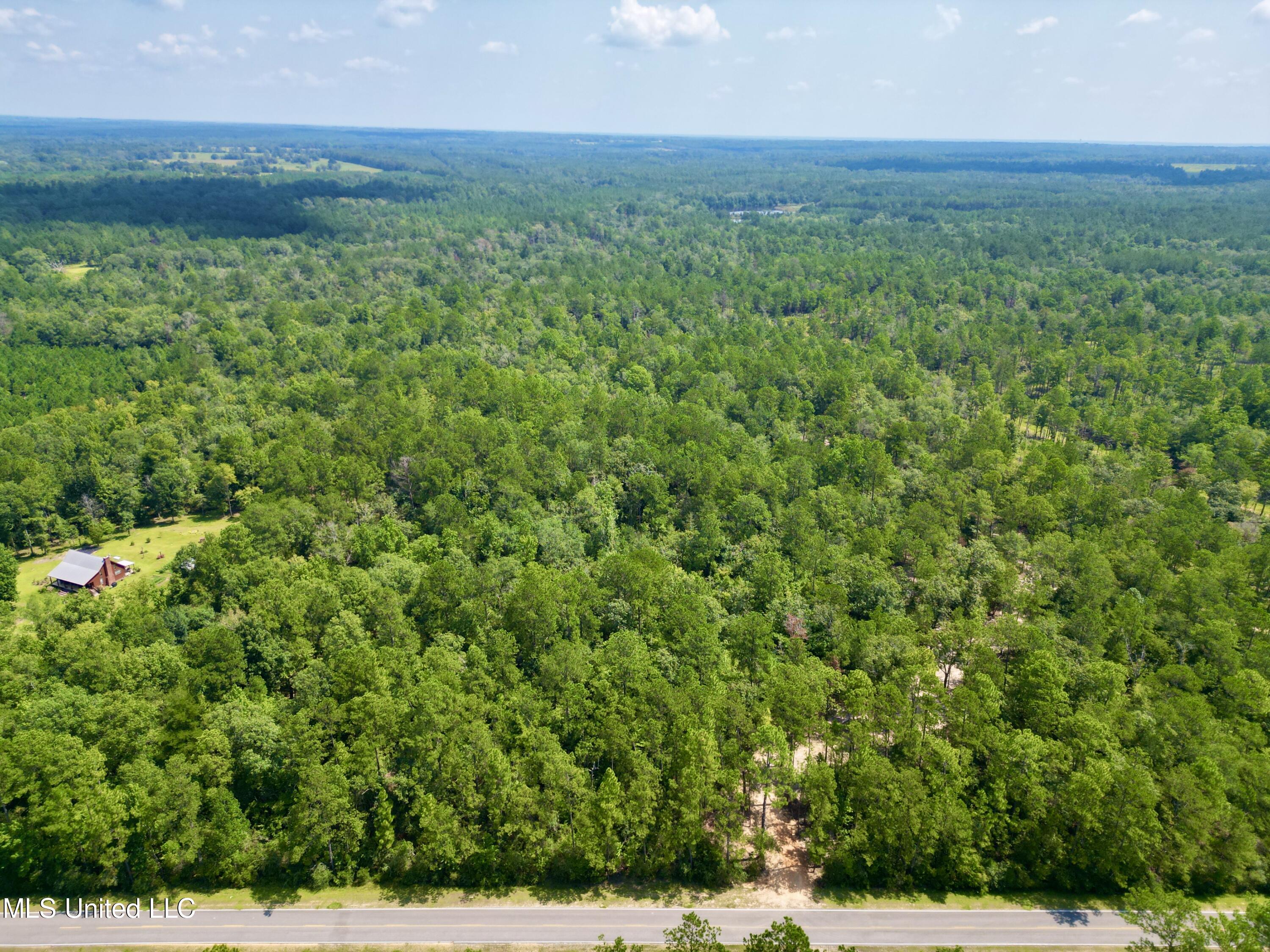 Nhn Silver Run Road, Poplarville, Mississippi image 2