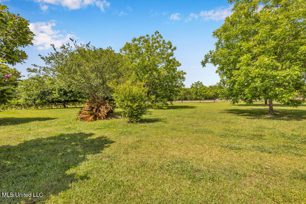 9135 Highway 57, Lucedale, Mississippi image 6