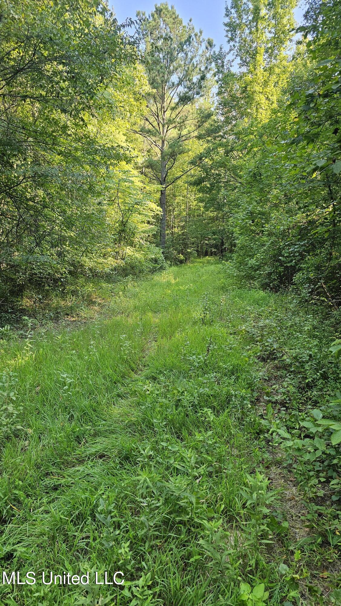 87 Country Road, Vaiden, Mississippi image 9