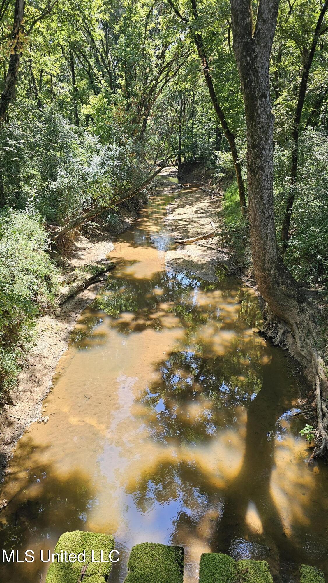 87 Country Road, Vaiden, Mississippi image 18