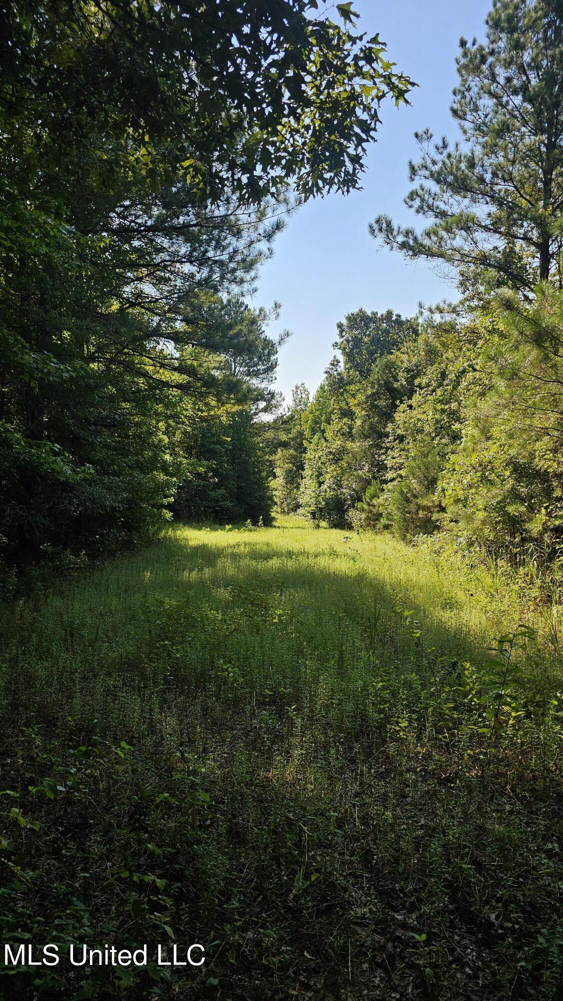 87 Country Road, Vaiden, Mississippi image 12