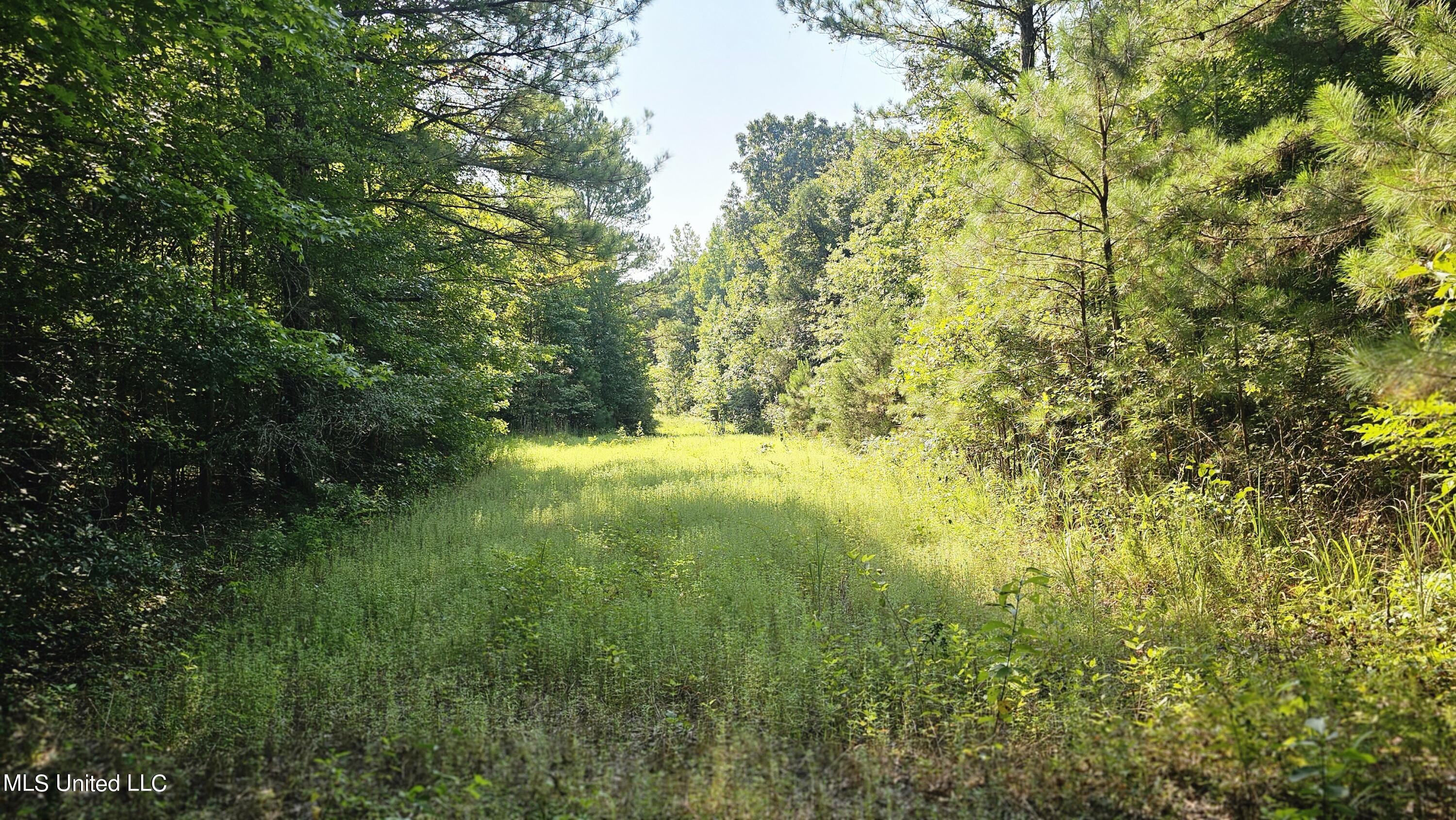 87 Country Road, Vaiden, Mississippi image 11