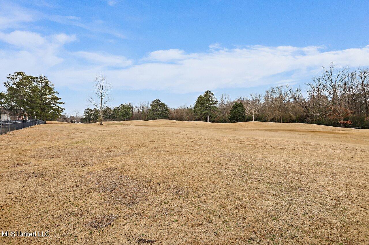 145 Greenway Lane, Madison, Mississippi image 38