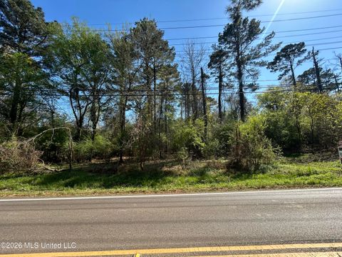 Vacant Land For Sale - Hoy Road<br/> Madison County, Madison, MS 39110
