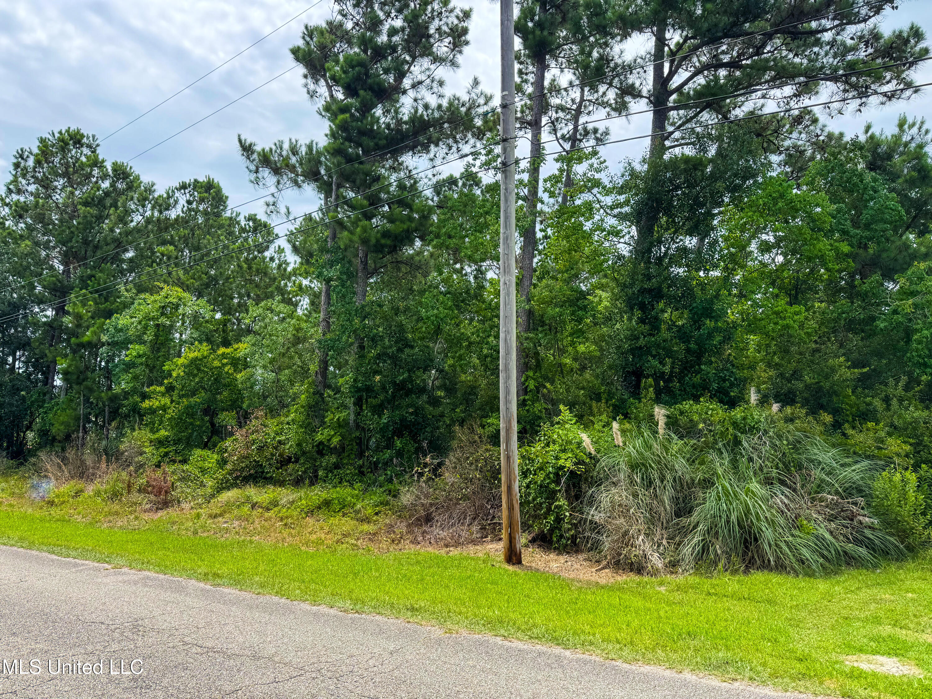 Hibiscus Drive, Bay Saint Louis, Mississippi image 2