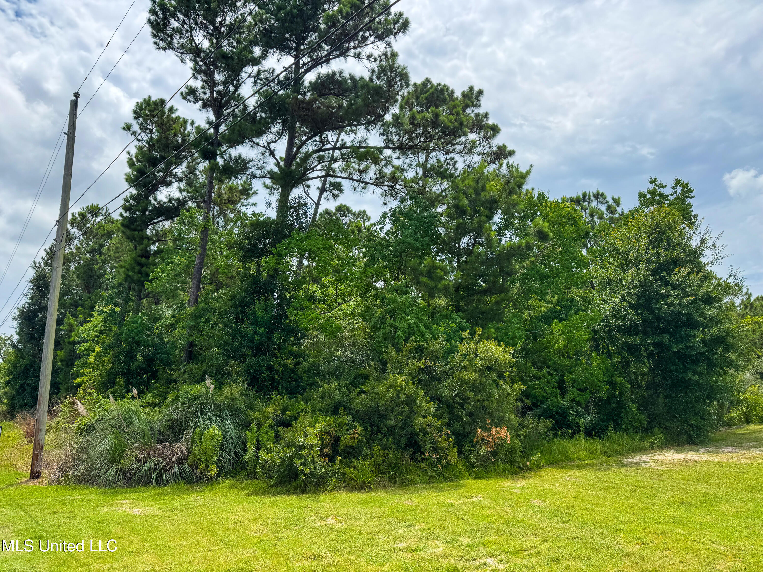 Hibiscus Drive, Bay Saint Louis, Mississippi image 4