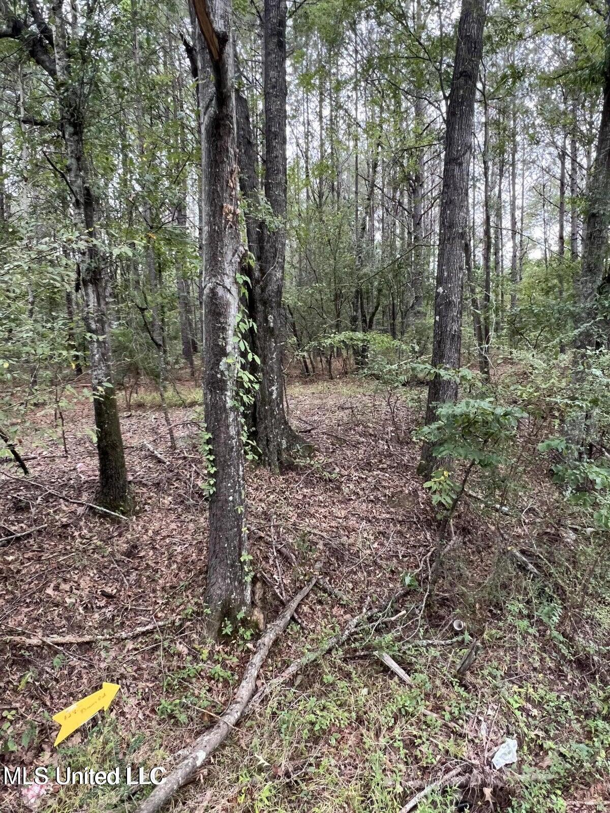 00 Dunn Road, Terry, Mississippi image 1
