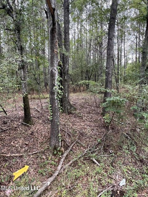 Vacant Land For Sale - 00 Dunn Road<br/> Terry, MS 39170