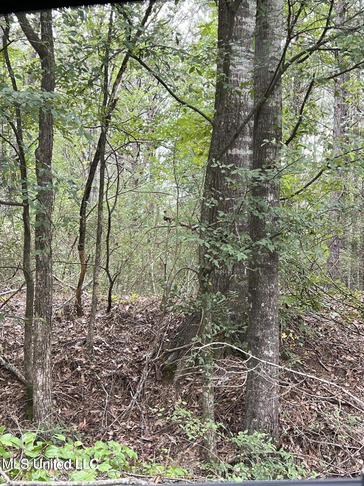 00 Dunn Road, Terry, Mississippi image 2