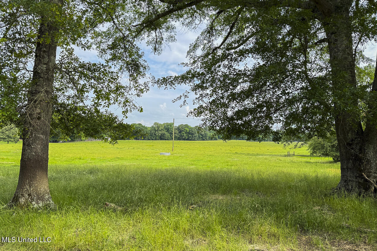 00 Henry Place Road, Benton, Mississippi image 14