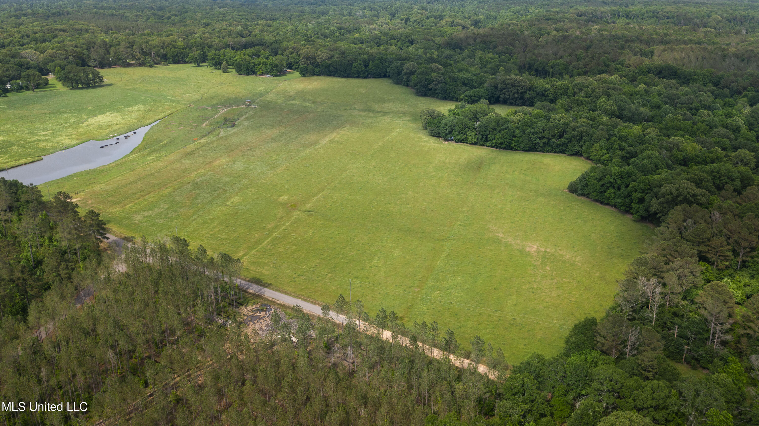 00 Henry Place Road, Benton, Mississippi image 1
