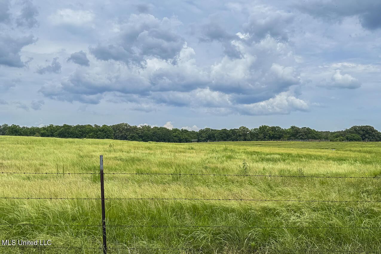 00 Henry Place Road, Benton, Mississippi image 10