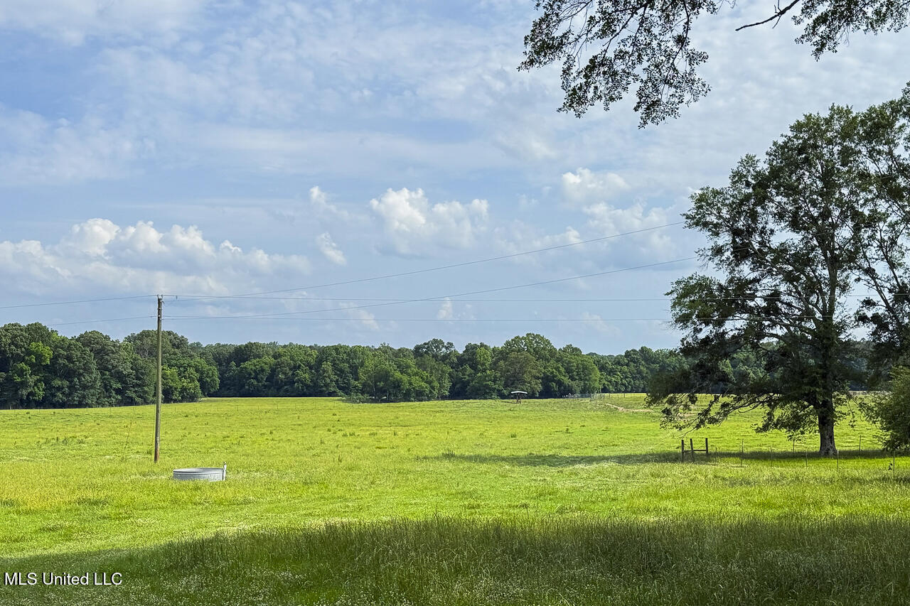 00 Henry Place Road, Benton, Mississippi image 15