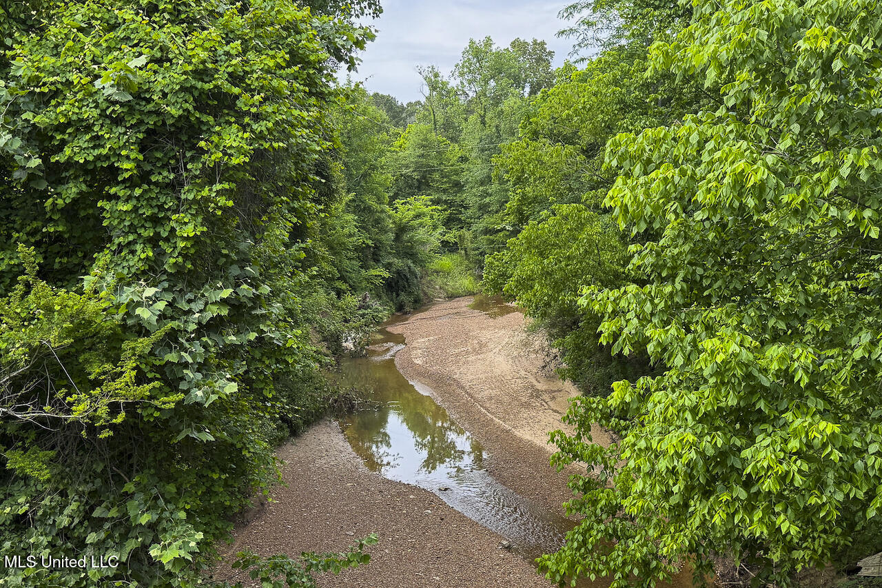 00 Henry Place Road, Benton, Mississippi image 17