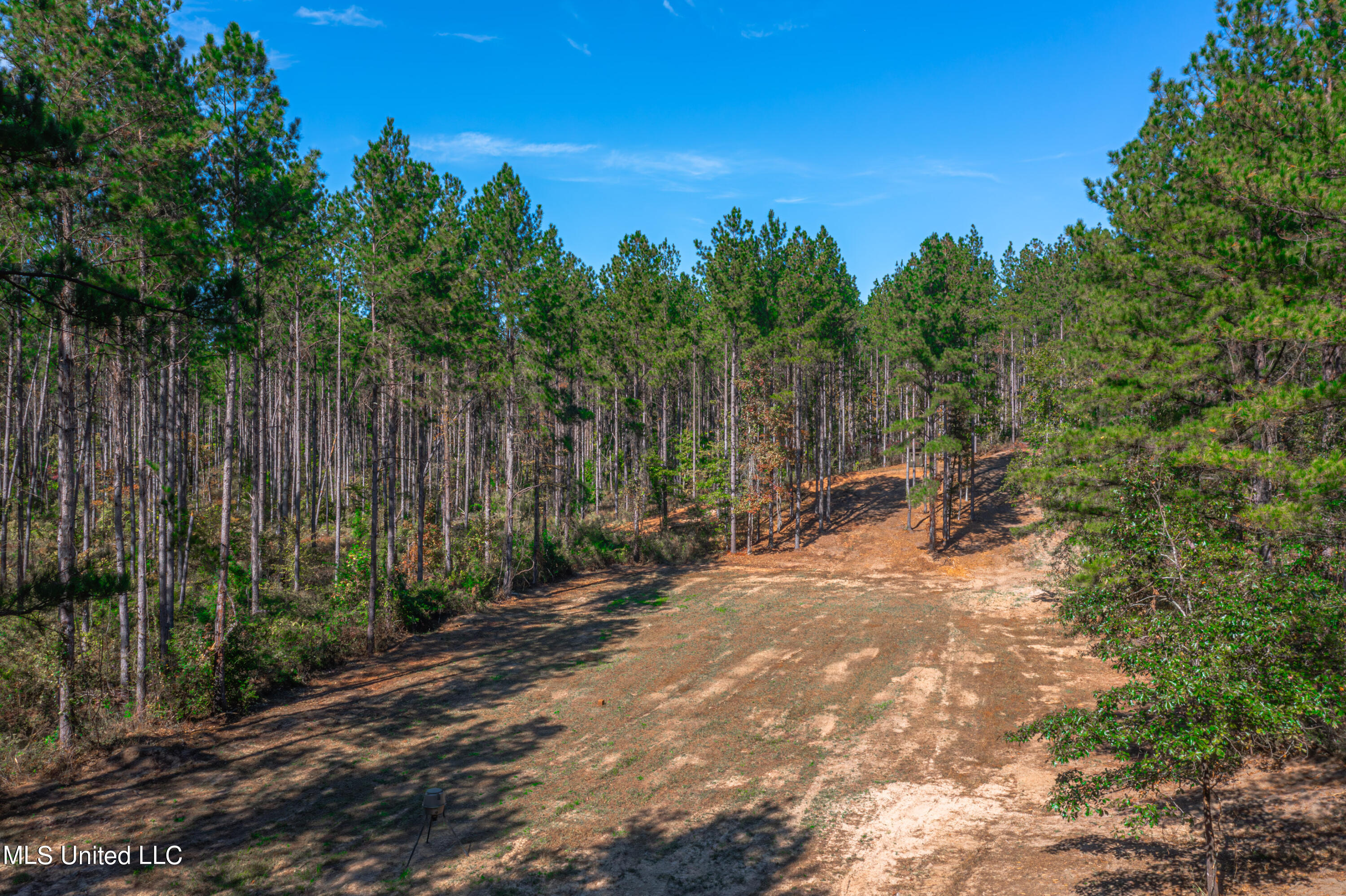 721 Permenter Road, Carthage, Mississippi image 38