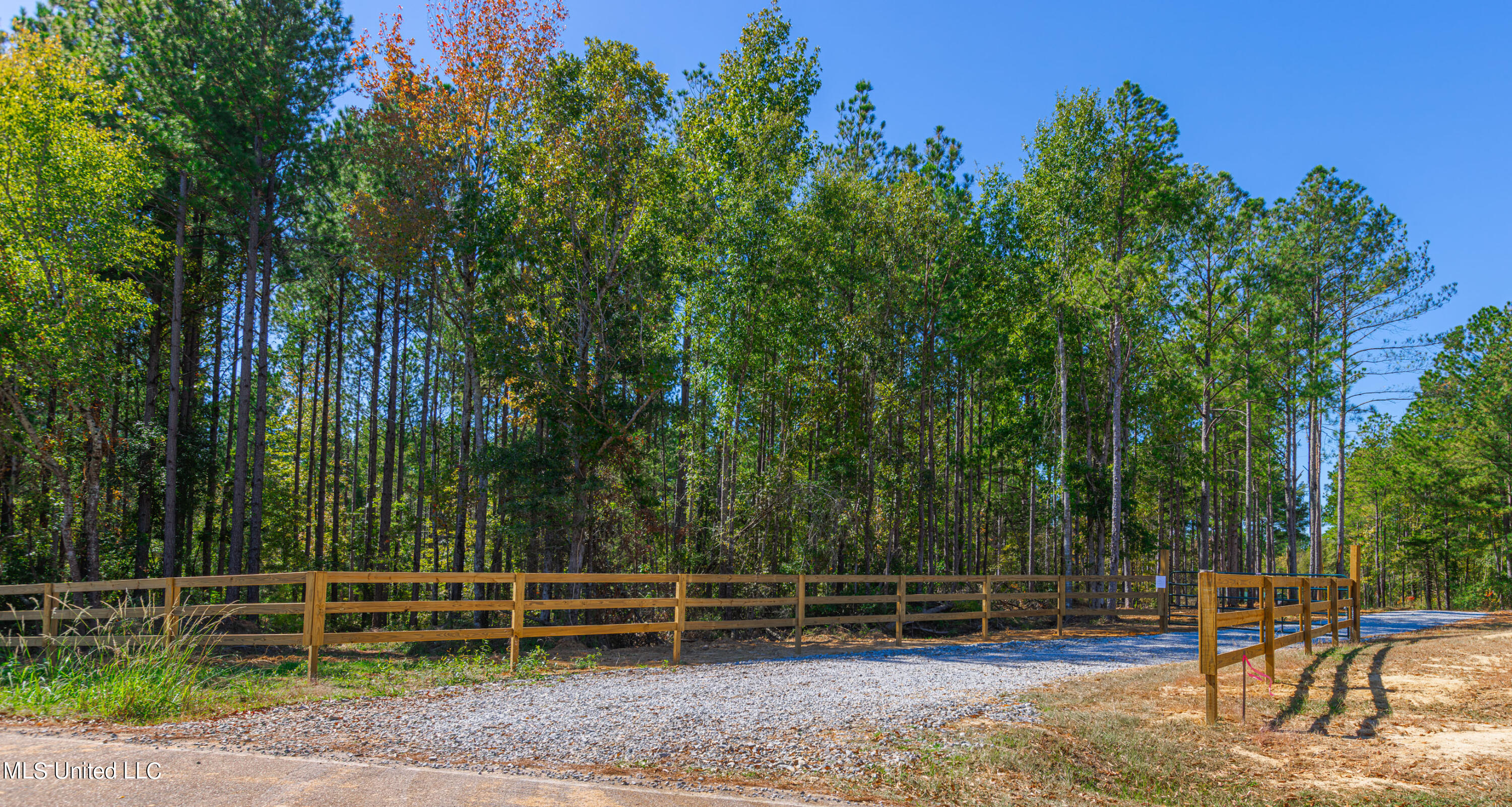 721 Permenter Road, Carthage, Mississippi image 7