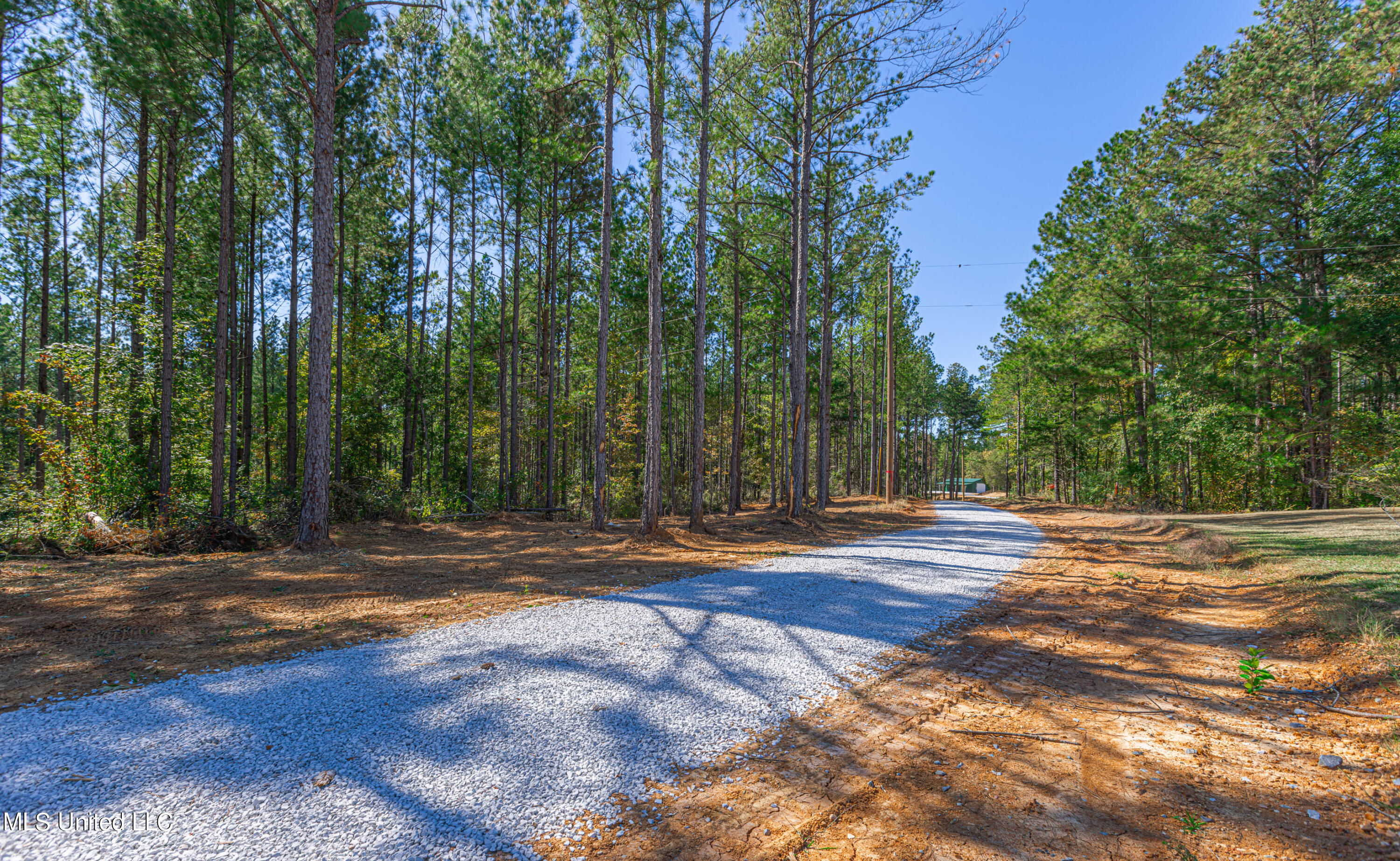 721 Permenter Road, Carthage, Mississippi image 11